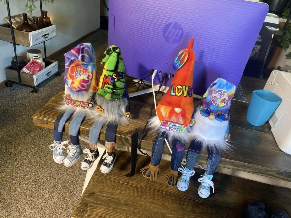 Assorted Gnomes 6