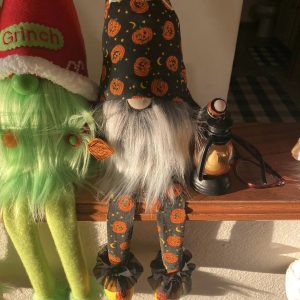 Assorted Gnomes