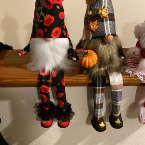 Assorted Gnomes
