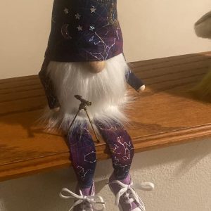 Astronomy Gnomes