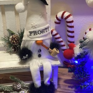 Frosty Gnome