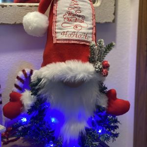 HoHoHo Gnome