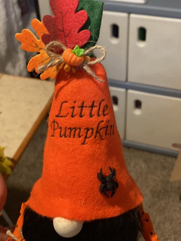 Little Pumpkin Gnome
