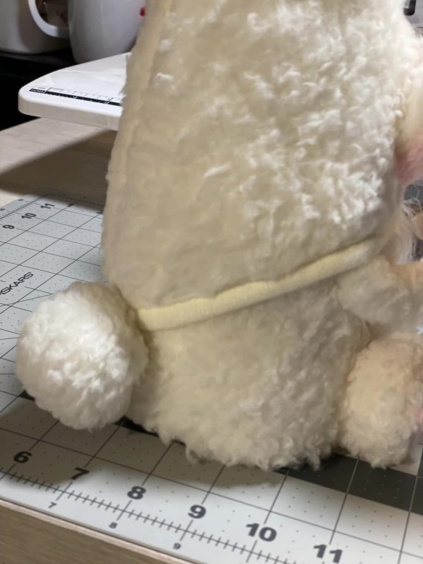 Mr. Hop Gnome