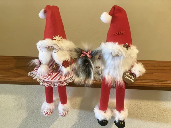 Mr. & Ms. Santa Gnome