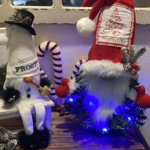 Xmas Gnome & Frosty